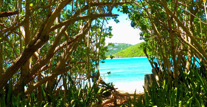 Reef Bay Trail, St. John