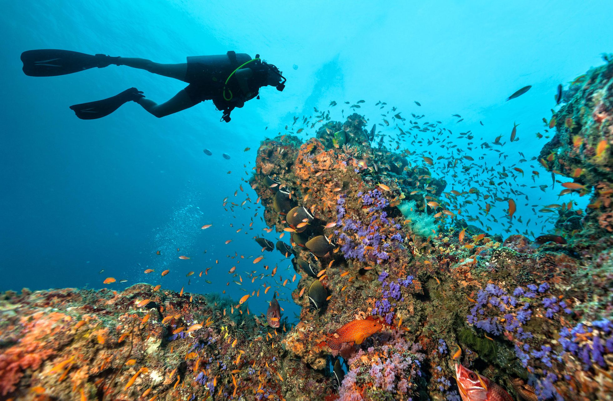caribbean scuba diving