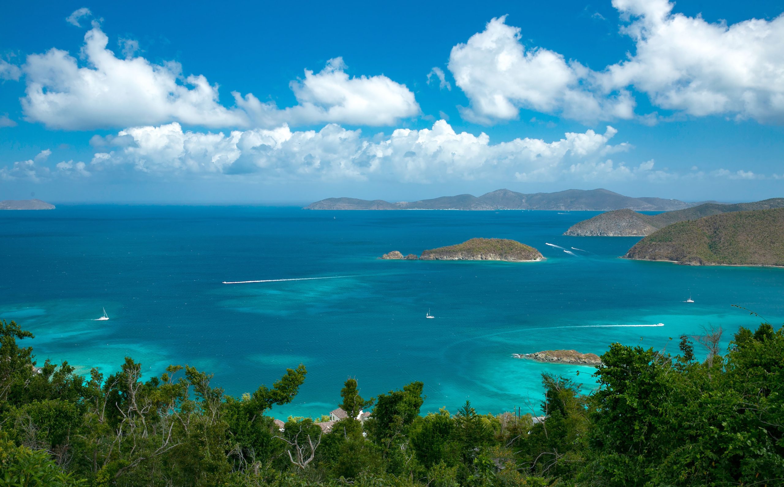Mango Bay