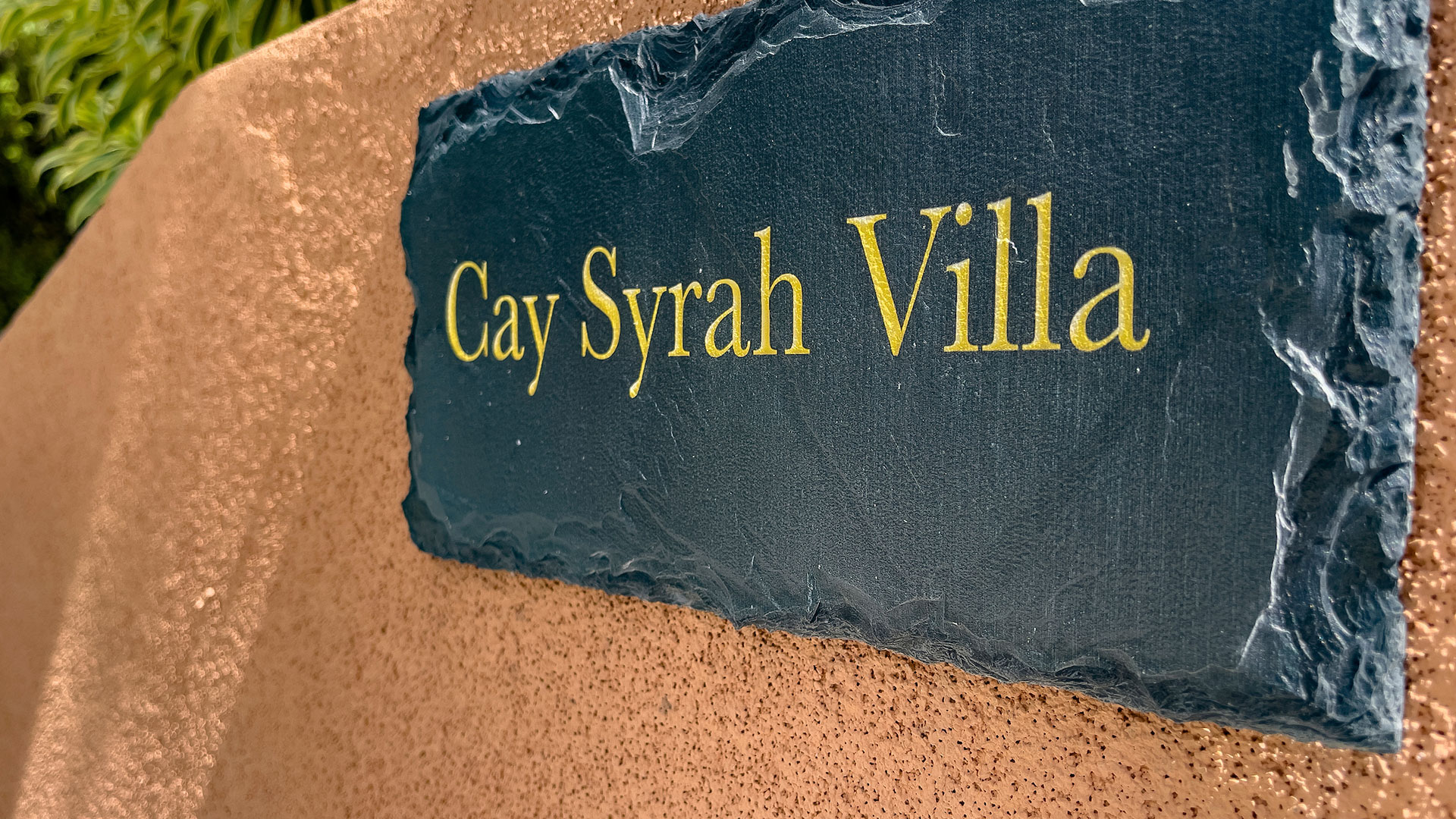 Cay Syrah