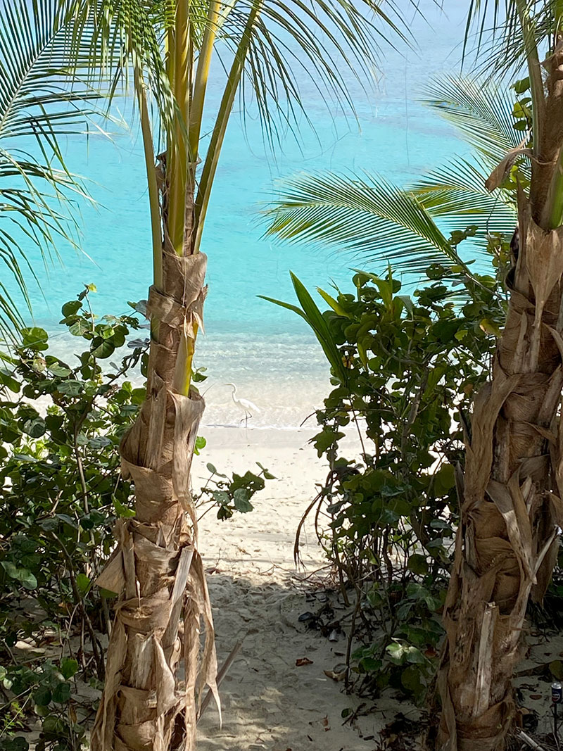 Villa La Playa