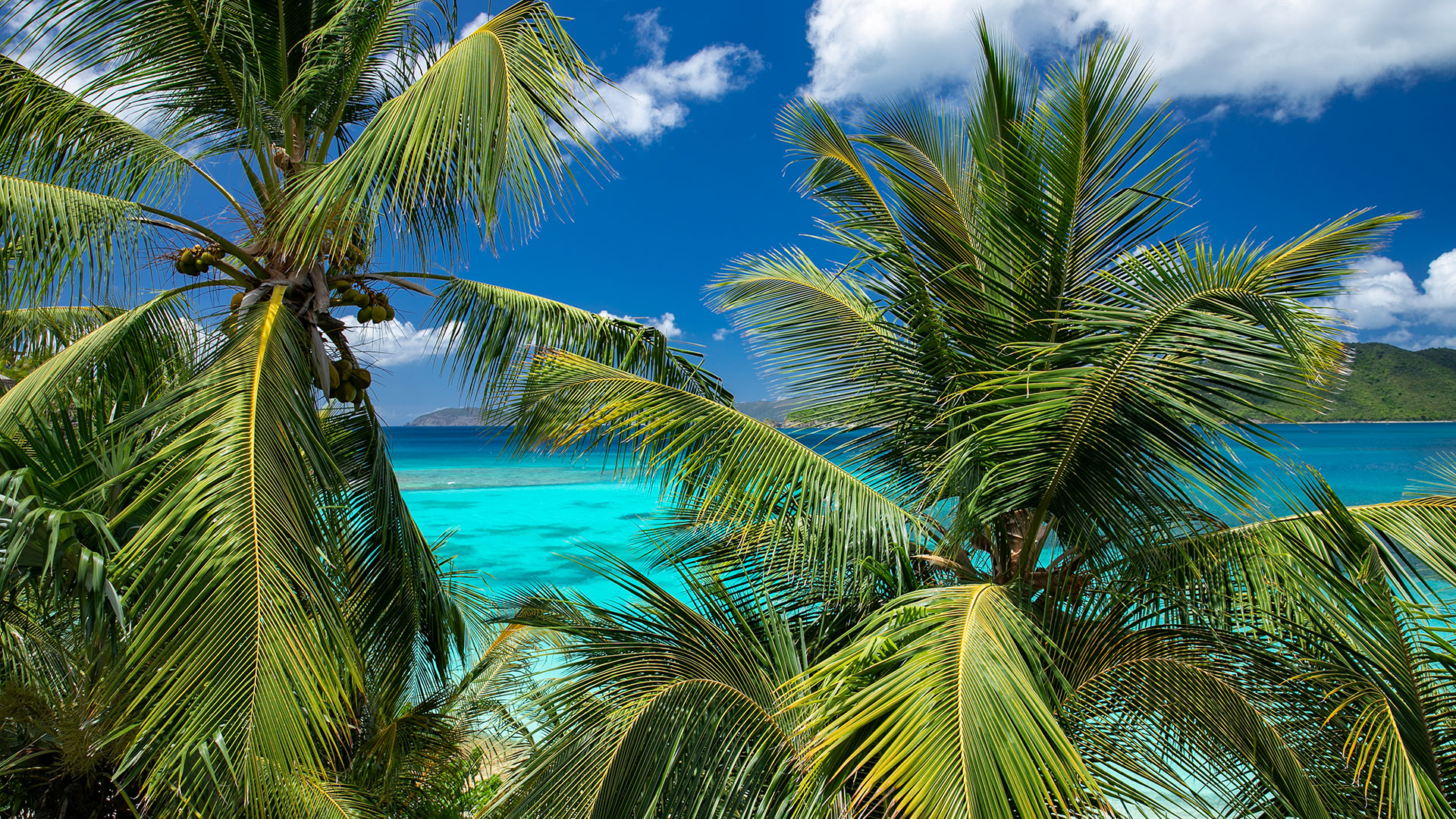 Villa La Playa