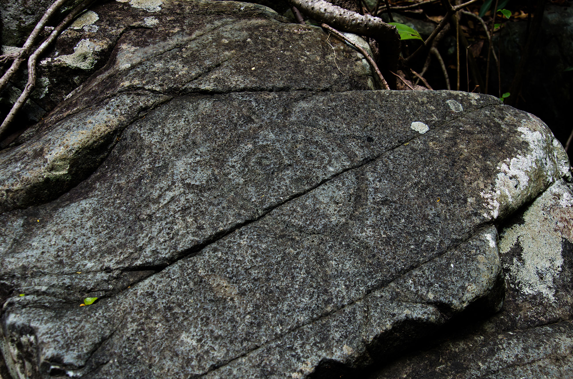 Taino petroglyphs