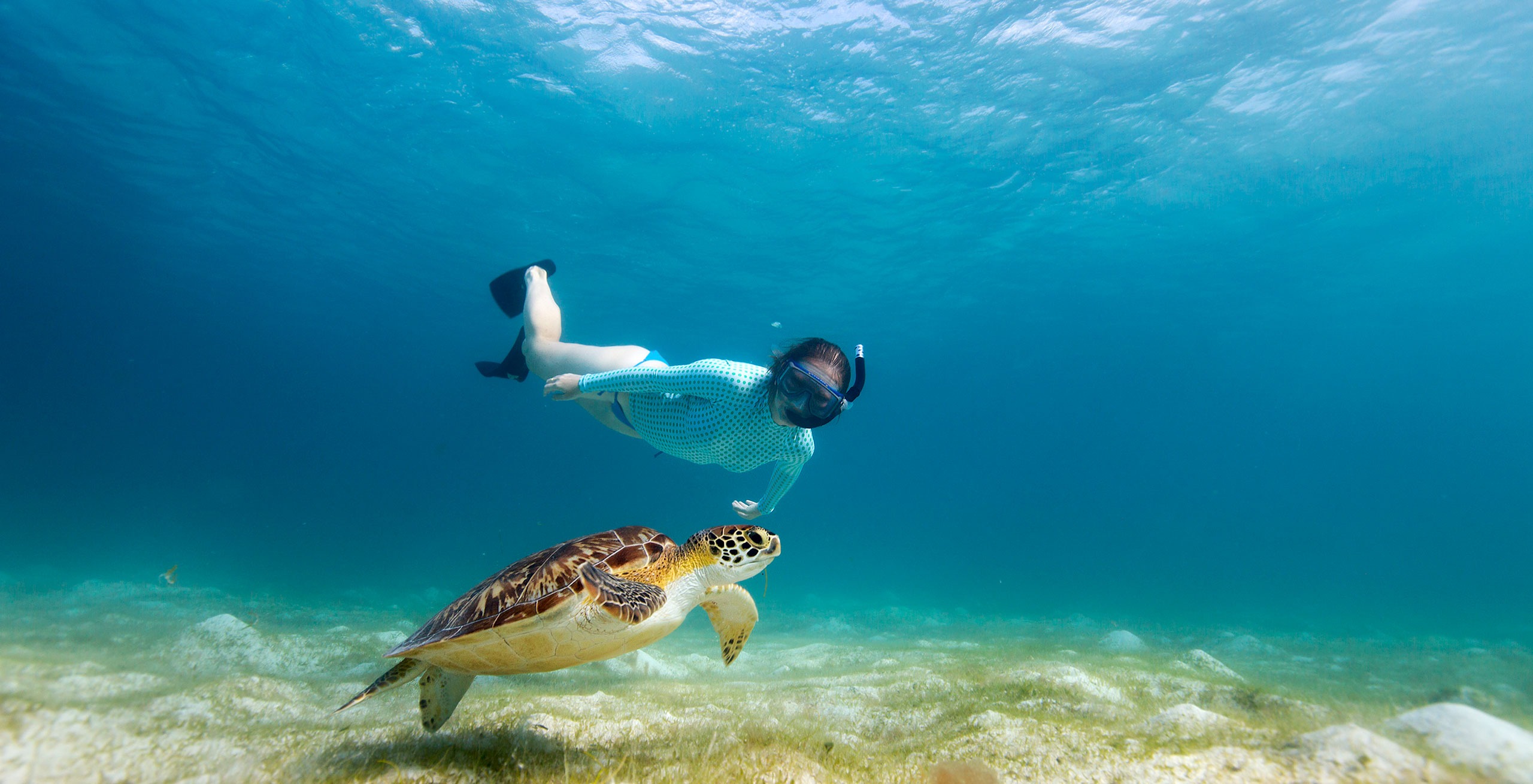Snorkeling St. John, USVI