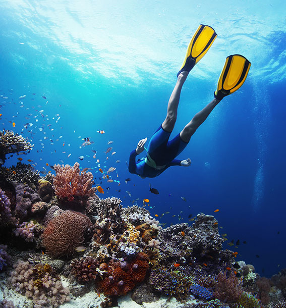 Snorkeling St. John, USVI